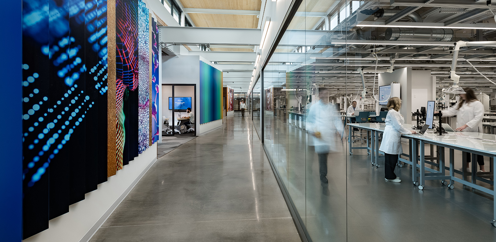 L’Oreal, North America Research & Innovation Center