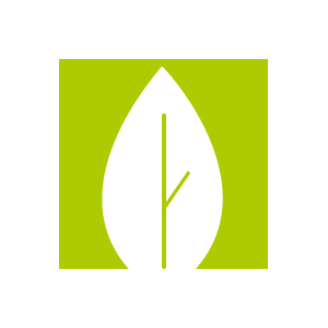 Custom Icon